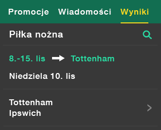 Przykład strony z wynikami